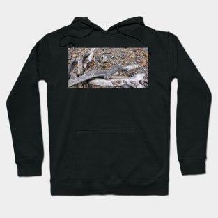 Driftwood on the shore Hoodie